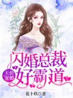 天價寵婚：閃婚總裁好霸道