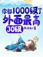 你都1000級(jí)了，外面最高30級(jí)！