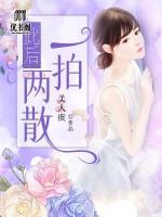 此后，一拍兩散
