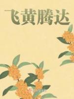 飛黃騰達(dá)