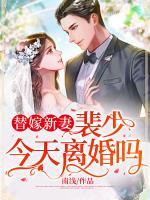 替嫁新妻：裴少，今天離婚嗎