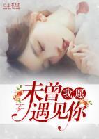 我愿未曾遇見你