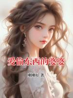 愛偷東西的婆婆