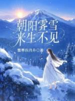 朝陽(yáng)霽雪，來(lái)生不見(jiàn)