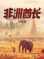 非洲酋長(zhǎng)