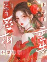 上輩子扶你當(dāng)丞相，重生不要你了