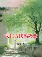 我在古代搞鴿戀