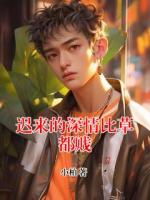 遲來(lái)的深情比草都賤