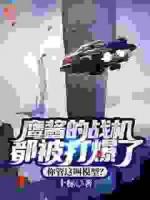 鷹醬的戰(zhàn)機(jī)都被打爆了，你管這叫模型？