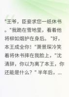 休書到手，攝政王瘋了