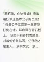 凰羽驚鴻，馭鷹世家的復(fù)仇之路