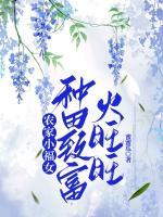 農(nóng)家小福女，種田致富火旺旺