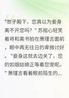 側(cè)妃出逃，世子殿下瘋了